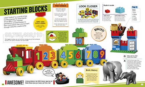 LEGO Absolutely Everything You Need to Know