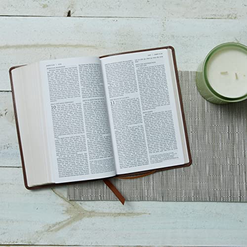 NRSV Catholic Edition Gift Bible, Brown Leathersoft (Comfort Print, Holy Bible, Complete Catholic Bible, NRSV CE): Holy Bible