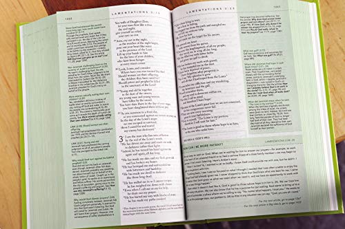 NIV, Quest Study Bible for Teens, Hardcover: The Question and Answer Bible