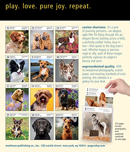 Dog Page-A-Day Gallery Calendar 2022: Stunning portraits that speak to the dog lovers soul.