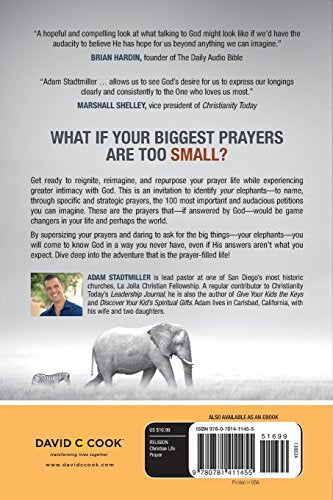 Praying for Your Elephant: Boldly Approaching Jesus with Radical and Audacious Prayer