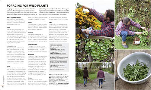 Self-Sufficiency for the 21st Century: The Complete Guide to Sustainable Living Today