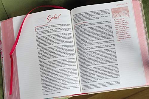 NIV, Journal the Word Bible for Teen Girls, Leathersoft over Board, Gold/Floral, Red Letter: Includes Over 450 Journaling Prompts!
