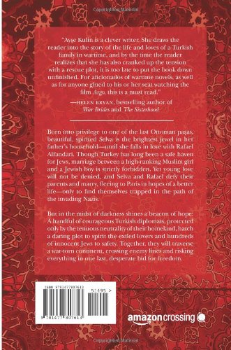 Last Train to Istanbul: A Novel