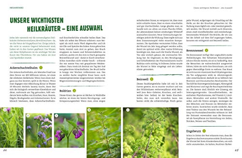 Der Selbstversorger: Mein Gartenwissen: Der Bestseller in überarbeiteter und aktualisierter Neuauflage