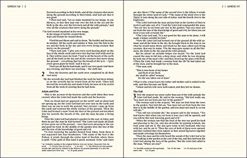 NIV, Artisan Collection Bible for Girls, Cloth over Board, Pink Daisies, Designed Edges under Gilding, Red Letter, Comfort Print