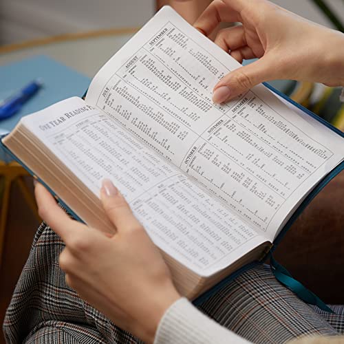 KJV, Thinline Bible Youth Edition, Leathersoft, Brown, Red Letter, Comfort Print: Holy Bible, King James Version