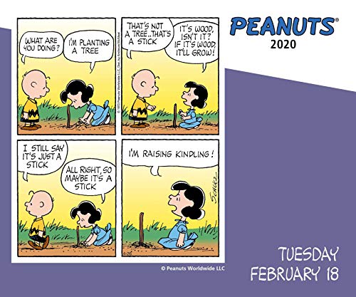 Peanuts 2020 Day-to-Day Calendar