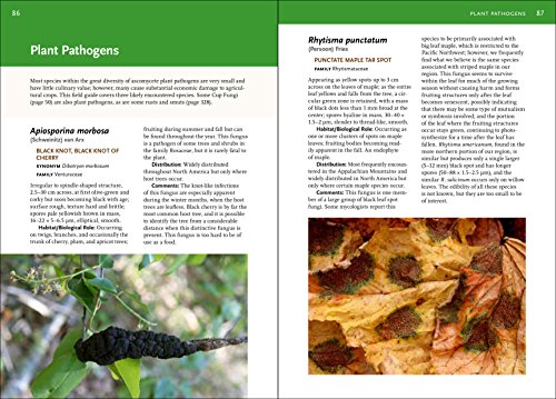 Mushrooms of the Southeast (A Timber Press Field Guide)