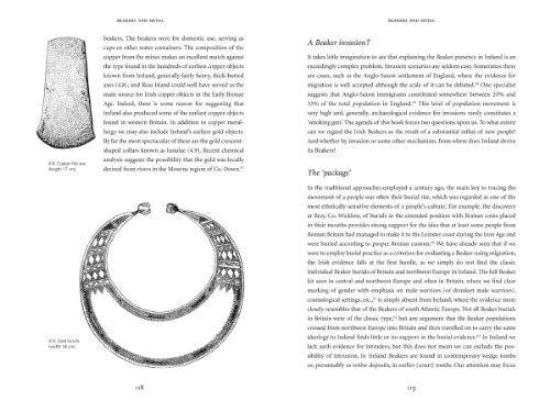 The Origins of the Irish