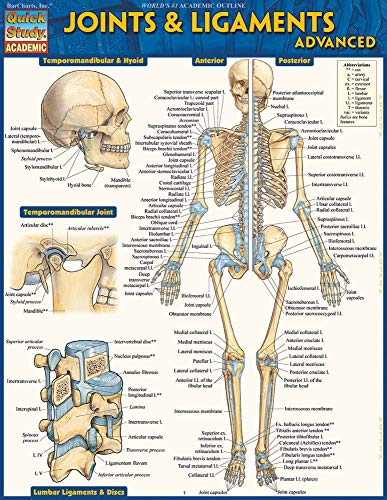 Joints & Ligaments Advanced (Quick Study Academic)