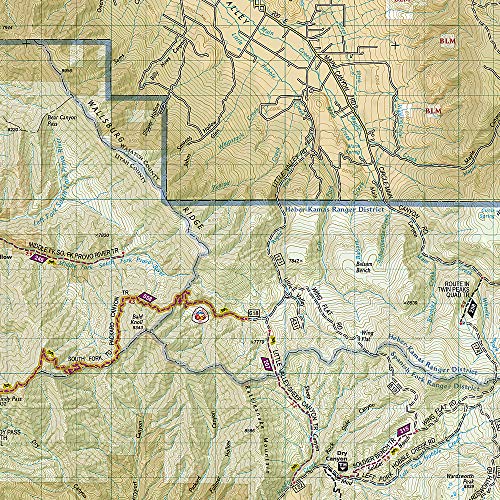 Wasatch Front North Map (National Geographic Trails Illustrated Map, 709)