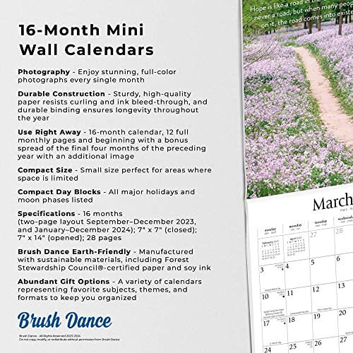 Pathways | 2024 7 x 14 Inch Monthly Mini Wall Calendar | Brush Dance | Photography Journey Scenic Nature