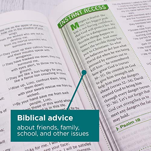 NIV, Teen Study Bible, Compact, Leathersoft, Brown