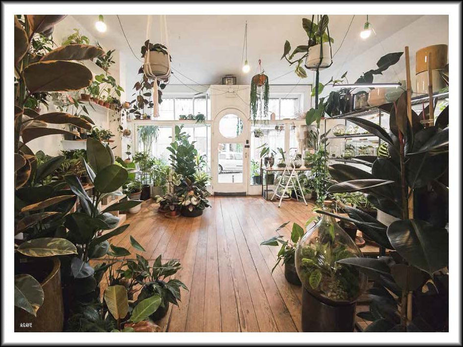 The 500 Hidden Secrets of Brussels - Updated and Revised