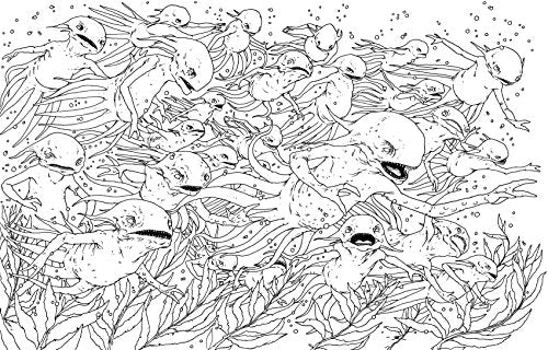 Harry Potter Magical Creatures Colouring Book 2