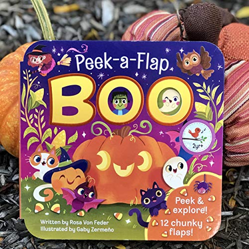 Boo Halloween Lift-a-Flap Board Book Ages 0-4 (Peek-A-Flap)