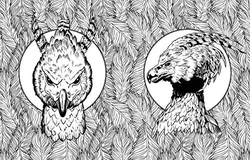 Harry Potter Magical Creatures Colouring Book 2