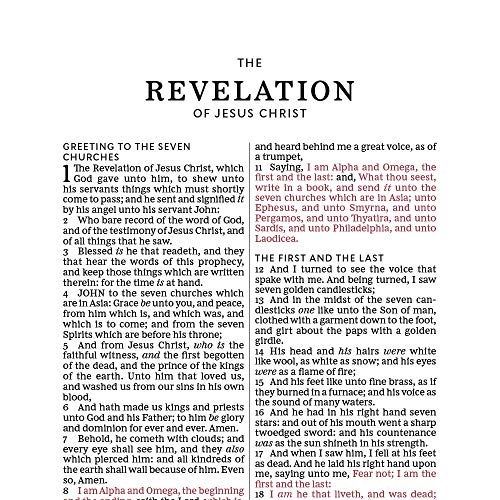 KJV, Thinline Bible, Large Print, Cloth over Board, Gray/Green, Red Letter, Comfort Print: Holy Bible, King James Version