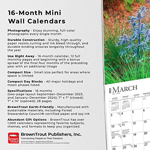 Wildflowers | 2024 7 x 14 Inch Monthly Mini Wall Calendar | BrownTrout | Flower Outdoor Plant