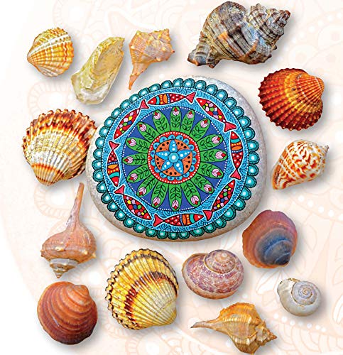 A Year of Stone Painting: 52 Mandala Designs to Inspire Your Spirit