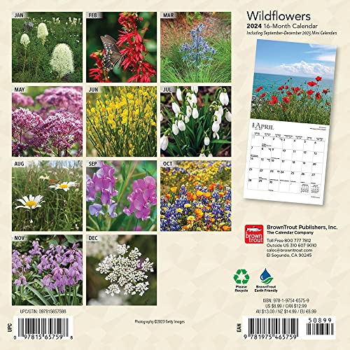 Wildflowers | 2024 7 x 14 Inch Monthly Mini Wall Calendar | BrownTrout | Flower Outdoor Plant