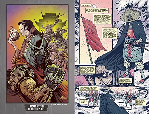 Teenage Mutant Ninja Turtles: The IDW Collection Volume 2 (TMNT IDW Collection)