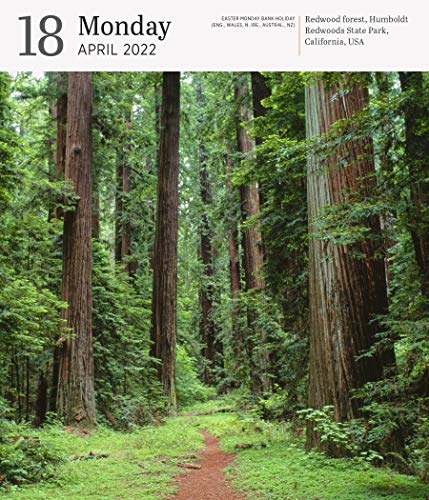 Audubon Nature Page-A-Day Gallery Calendar 2022: A wilderness escape every single day