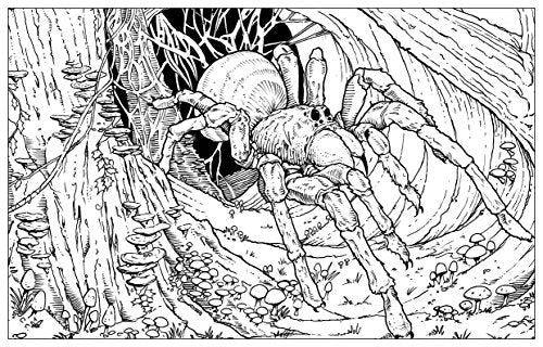 Harry Potter Magical Creatures Colouring Book 2