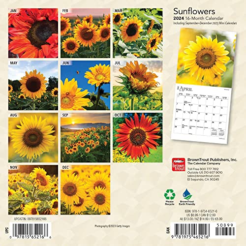 Sunflowers | 2024 7 x 14 Inch Monthly Mini Wall Calendar | BrownTrout | Flower Outdoor Plant