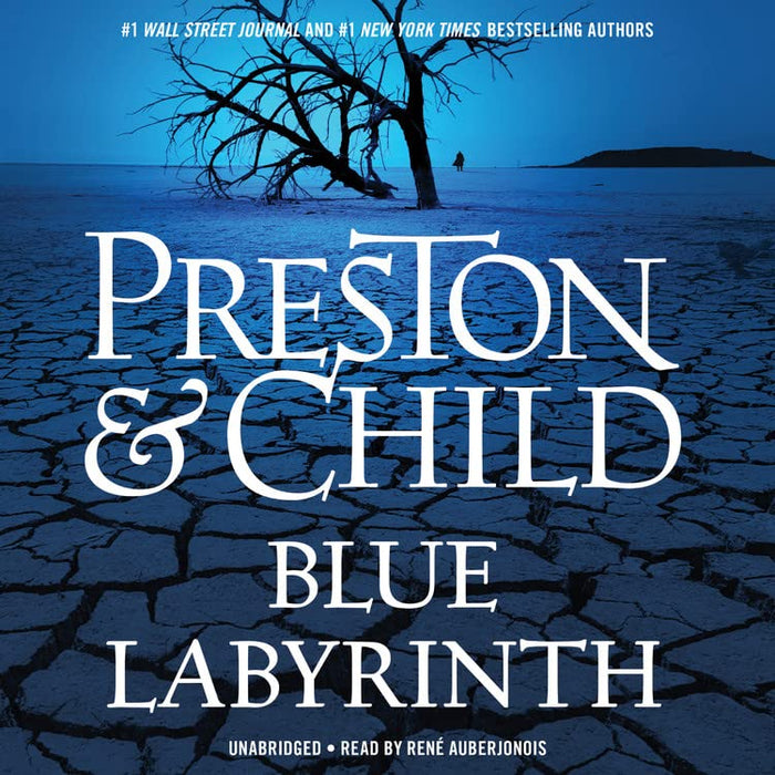Blue Labyrinth (Agent Pendergast Series, 14)