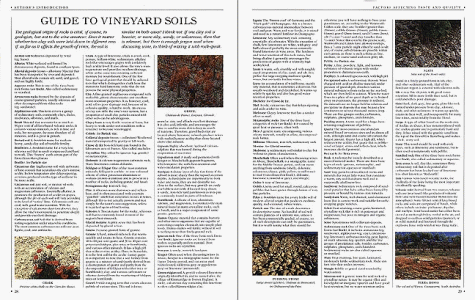 The New Sotheby's Wine Encyclopedia English version