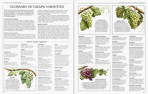 The New Sotheby's Wine Encyclopedia English version