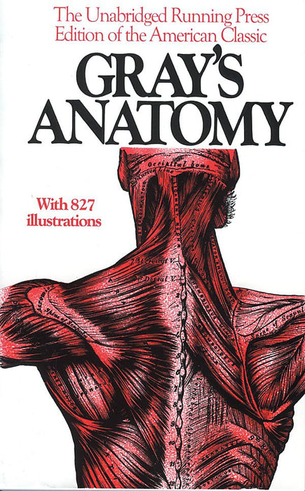 Anatomy, Descriptive and Surgical, 1901 Edition