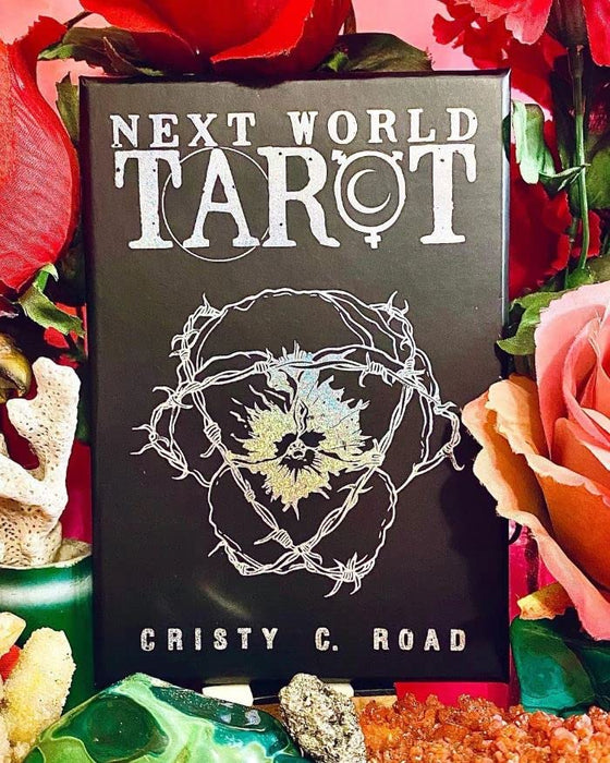 Next World Tarot: Deck and Guidebook